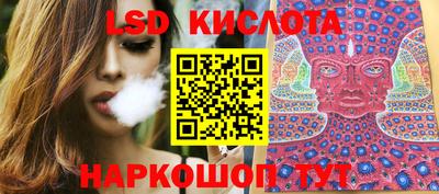 стаф Шебекино
