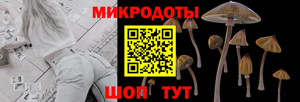Псилоцибиновые грибы Psilocybe Железноводск